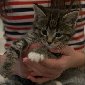 Meet your Posher, Sandra